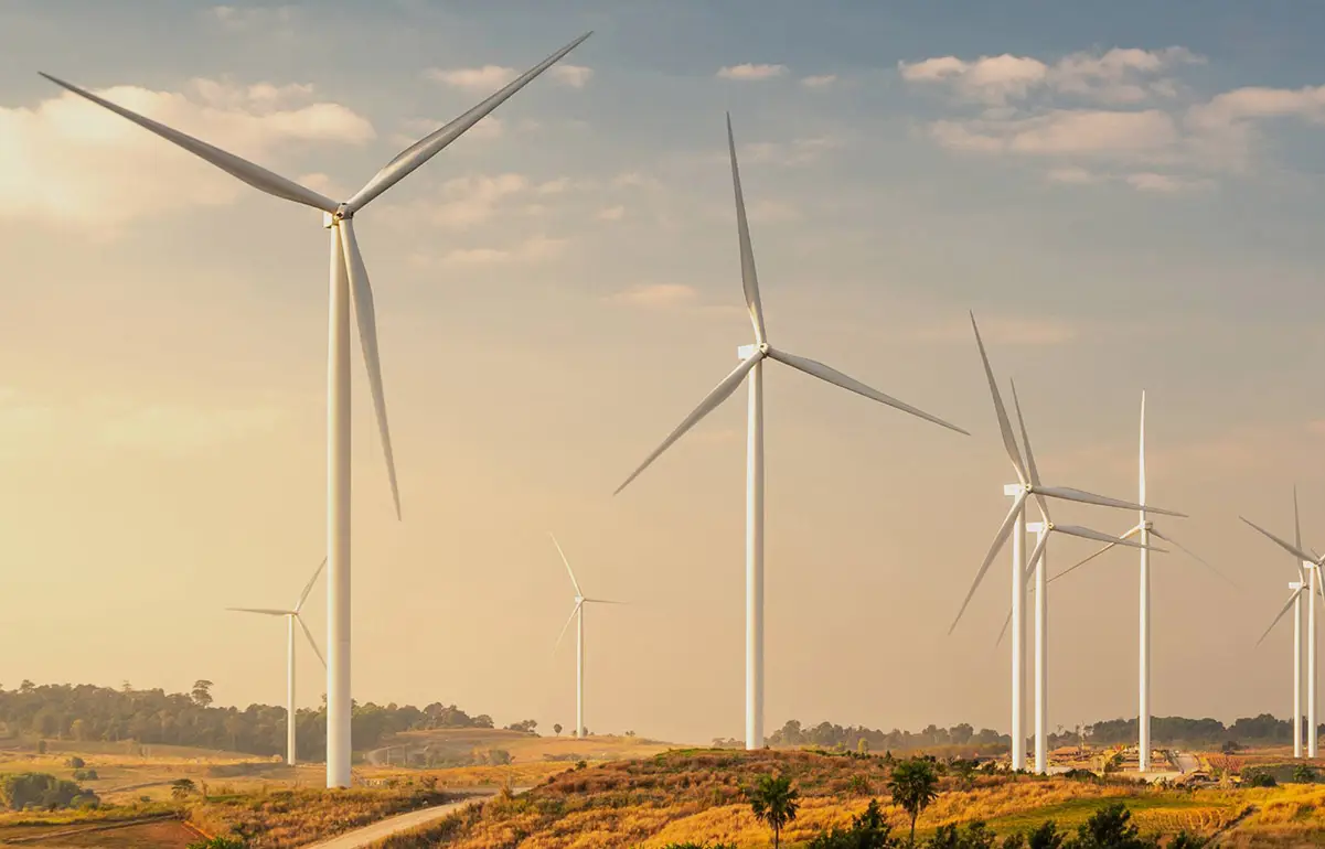 A wind farm